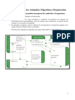 T.16 Resumen Biología