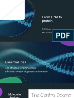 From DNA To Protein