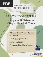 Las Cianobacterias