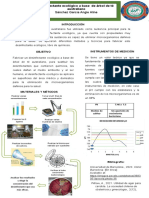 INFOGRAFÍA