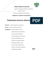 Informe Tratamientos Térmicos (Heat Treatment)