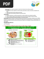 CLASE de Hoy Martes O6 - 09 - 6básico (1) .Docx CON AALGUNAS RESPUESTAS