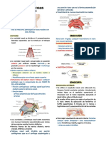 Enfermedades de Las Fosas Nasales