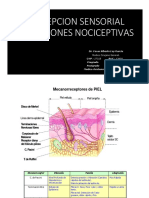 Clase 4 Percepcion Sensorial Sensaciones Nociceptivas