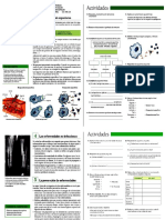 Ficha Sobre Locomocion