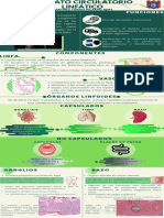 Infografía Aparato Circulatorio Linfático