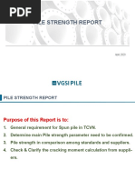 Vgsi PL Te Report 200420 Pile Strength