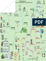 Mapa Mental Cultivo de Tejidos Vegetales