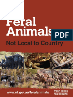 Feral Animals Storybook