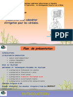 Calendrier D' Irrigation 2023