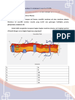 LKPD Struktur Membran Sel Dan Transpor Zat Kel. 5