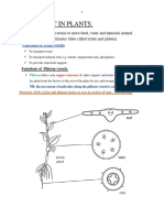 Transport in Plants