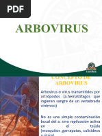 Arbovirus - Arenavirus