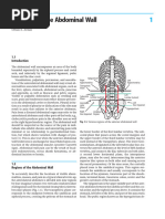 Anatomy of The Abdominal Wall: Orhan E. Arslan