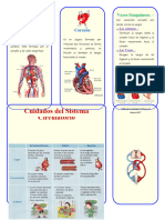 Triptico de Sistema Circulatorio