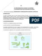 Control Microbiano - Copia Farmacia 2021