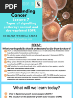 Types of Signalling Pathway Egfr Pathway Normal and Dysregulated