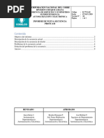 Informe de Nueva PROTCAM REV04