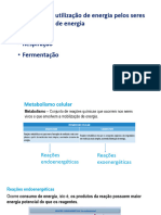 BIO 10º 8 - Transformação e Utilização de Energia Pelos Seres Vivos - Obtenção de Energia