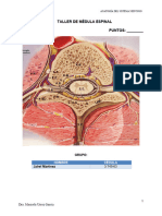 03 Taller de Médula Espinal
