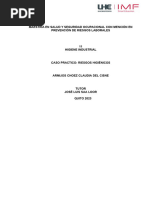 Caso Práctico Higiene Industrial IMF - UHE2