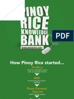 Pinoy Rice Knowledge Bank