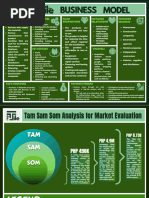 Business Model and Tam Sam Som