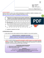 Ficha de Actividades - Indaga Sobre El Uso Tradicional de Las Plantas Medicinales en Arequipa - 6to Grado