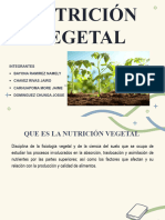 Nutrición Vegetal1