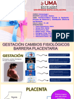 Farmacologia Exposicion Farmacocinetica en Gestantes