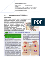 Guia N.4 Hormonas y Organos de Los Sentidos Segundo Trimestre