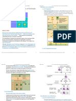 M2 - L4 - Inheritance Patterns of Animals