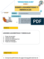 Lesiones Ligamentosas y Meniscales