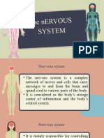 Nervous System