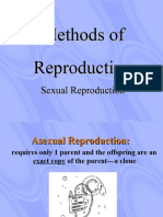 Asexual Reproduction