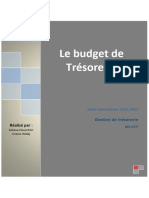 Le Budget de Trésorerie.