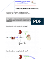 Calcio, Fósforo "Fosfato" Y Magnesio: PONENTE: Dr. Mariano Rodríguez Portillo HOSPITAL: Reina Sofía UNIVERSIDAD: Córdoba