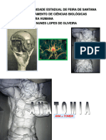 1-Introduçcao Ao Estudo Da Anatomia