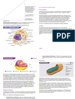 What Are Cell Organelles