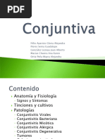 Conjuntiva 111001185739 Phpapp02