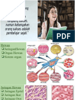 Materi Biologi - Jaringan Hewan