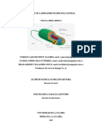 Informe de Laboratorio de Biologia G #7