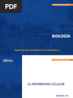 Biologia - Sem - 04 - Sesión-07 - 2023-2