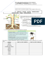 Evaluacion Naturales Cuarto Tercer Periodo 2023