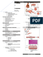 Lab Muscle Tissue Editingg