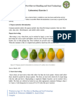 Laboratory Exercise 1