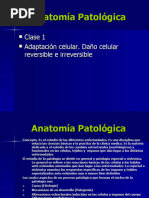 Clase 1 Nuevo Presentación de Microsoft PowerPoint