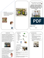 Triptico Sobre Gelatina Casera de Plantas