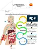 Organizador Grafico LADME - Grupo 3