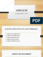 AMYLUM